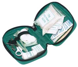 First aid kit in soft VINYL CASE.