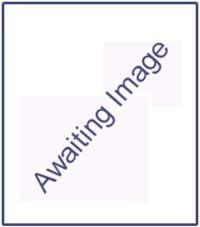 Ambersil Solvent Degreaser 5 Ltr