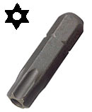 Torx tamper-resistant power bits